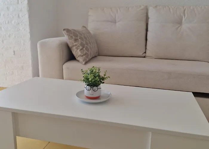 Vistas Panoramicas Al Mar, A 300 Metros De La Playa Torrevieja